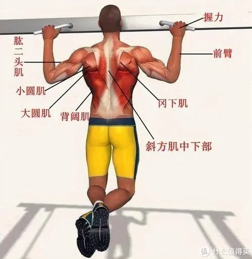什么网球拍硬度软度高